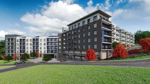 Grayco Partners Case Study Image 02